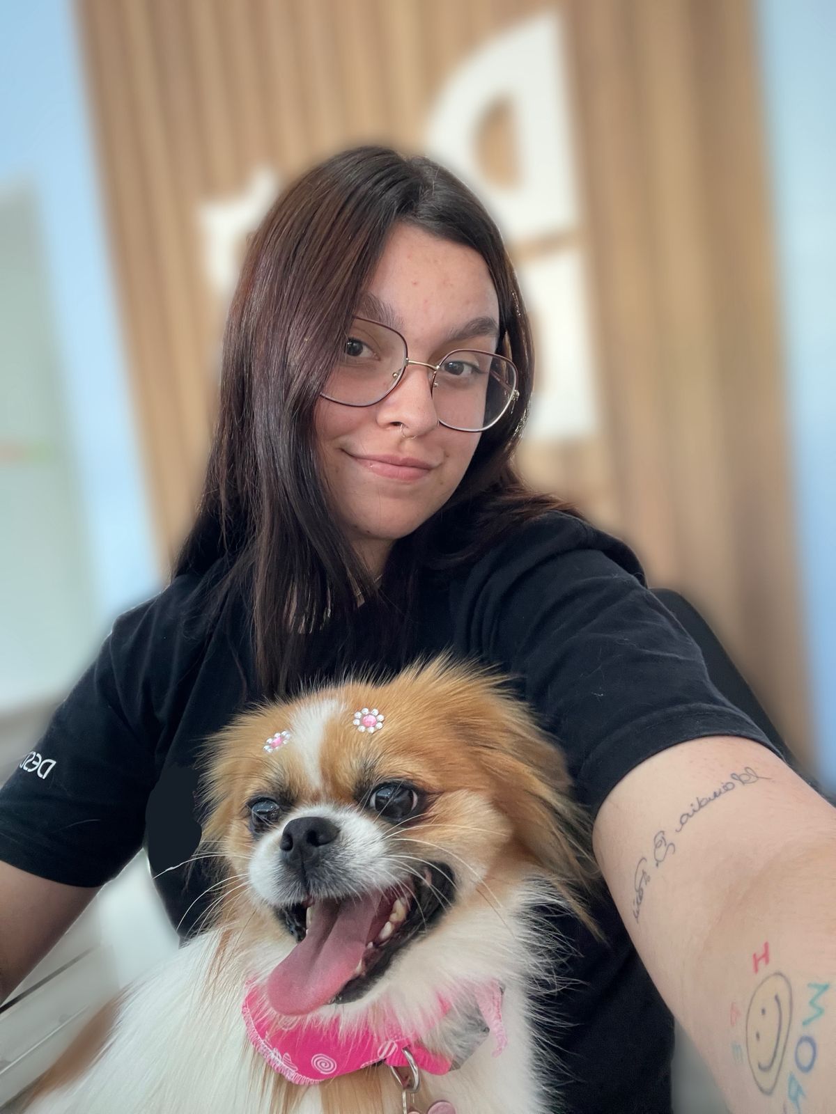 Pet sitter Assunção